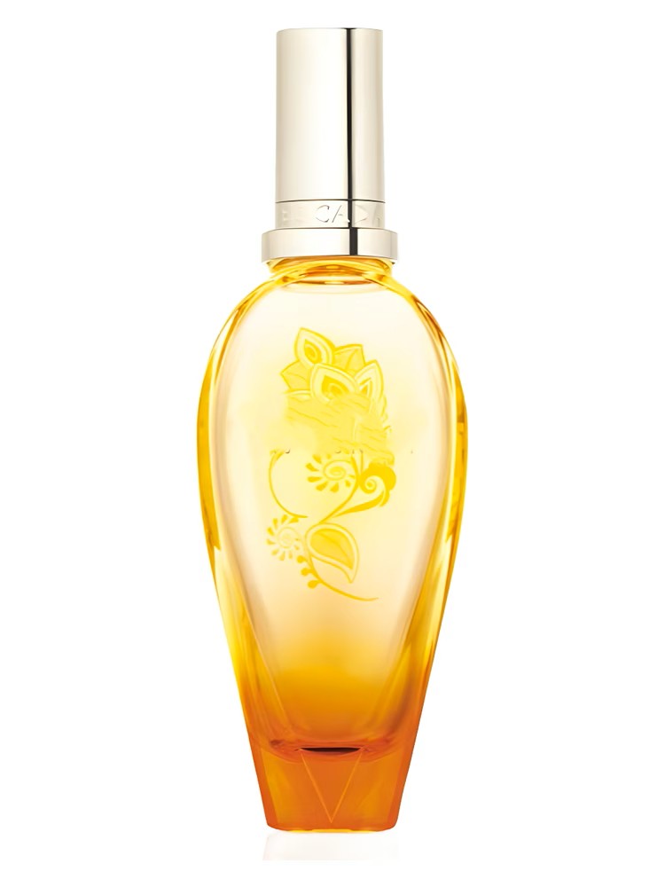 Taj Sunset Escada For Woman Inspired Perfume Dupe | Mia & Co   rrp$450 COMMING SOON