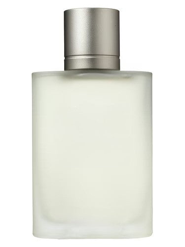 Acqua di Gio Giorgio Armani Inspired Perfume Dupe | Mia & Co RRP$180