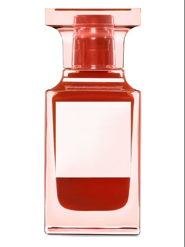 Tom Ford Electronic Cherry Inspired Perfume Dupe | Mia & Co RRP$400